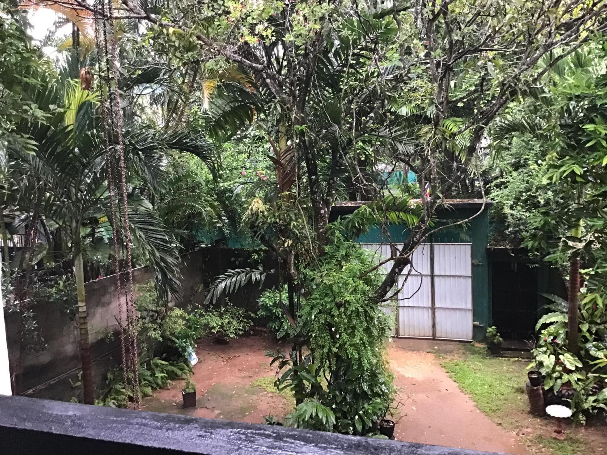 Sanjeehome & Lanka Ayurveda, Bentota Exterior photo